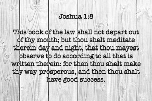 Joshua 1 8 WD3